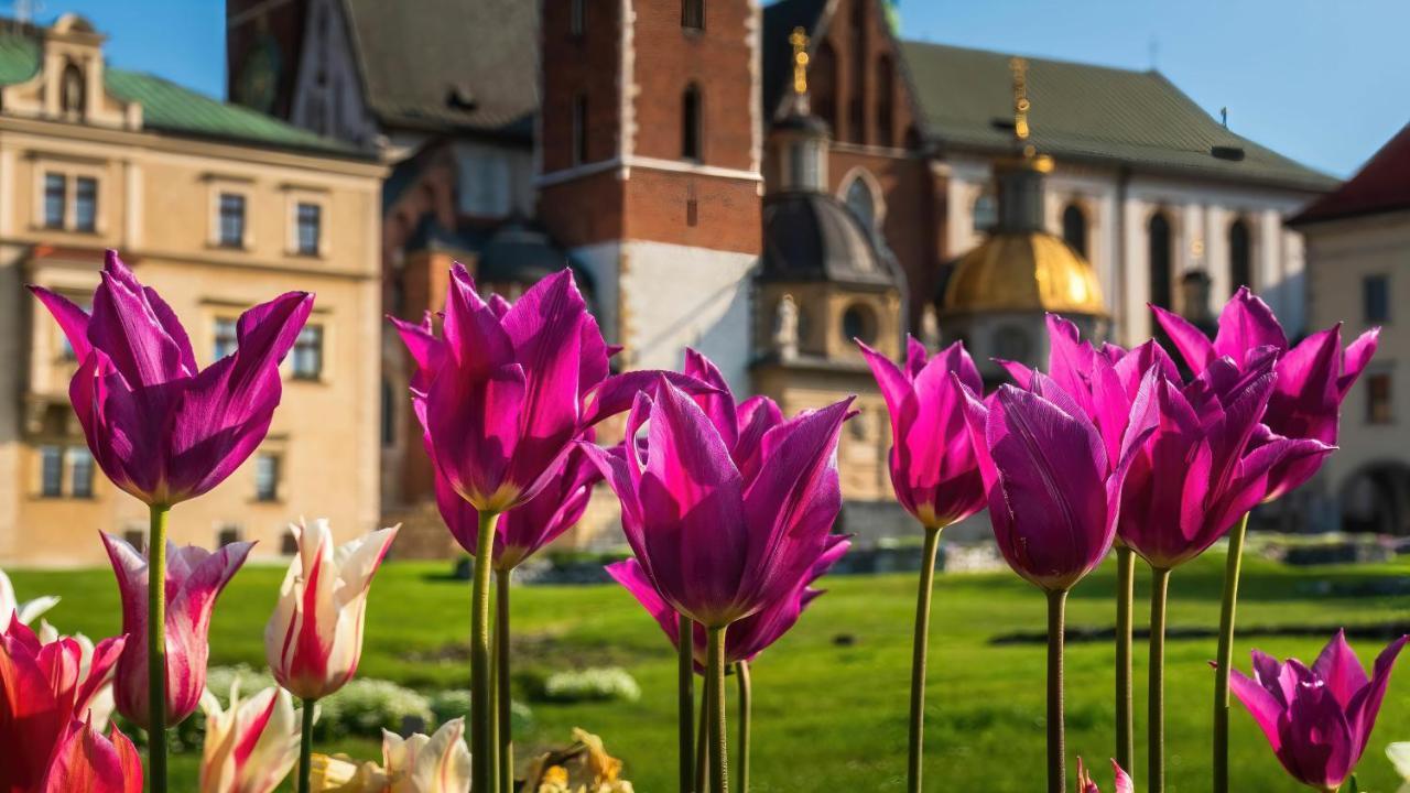 Designomania Apartments - Nadwislanska 11 Краків Екстер'єр фото